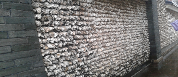 【原創】《沙井蠔屋》