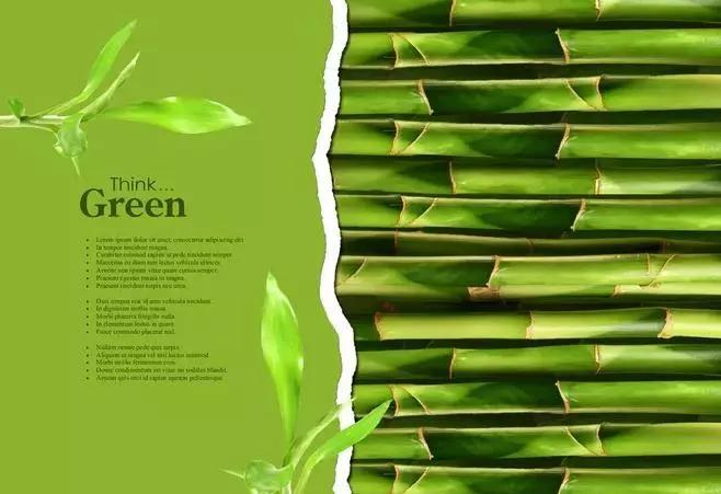 十大綠色住宅建筑技術體系