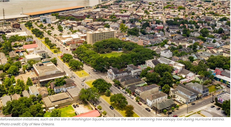 新奧爾良的氣候行動倡議旨在實現凈零碳排放