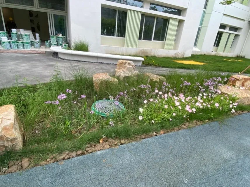 海綿城市：貫徹“景觀+海綿”理念！來看融合自然生態(tài)美學(xué)的“高顏值”海綿景觀》