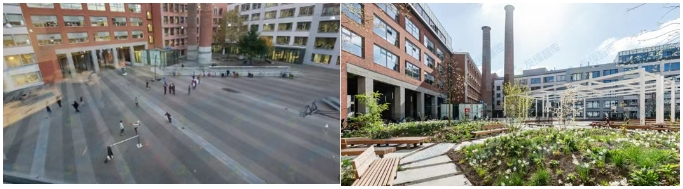 極端高溫下，如何給城市降溫？