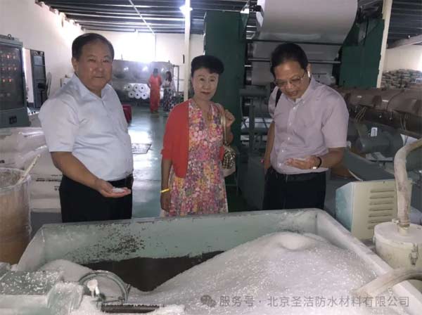 聚乙烯丙綸卷材的逆襲之路：所有的堅(jiān)持終放光芒！