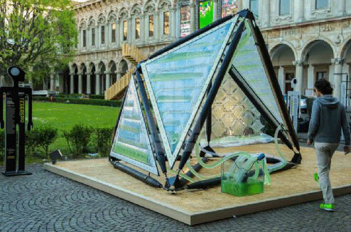 【未來綠建】綠藻城市喂養系統 【未來綠建】綠藻城市喂養系統