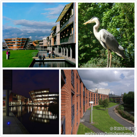 綠色建筑行業每日熱點微博精選（2013年08月23日）