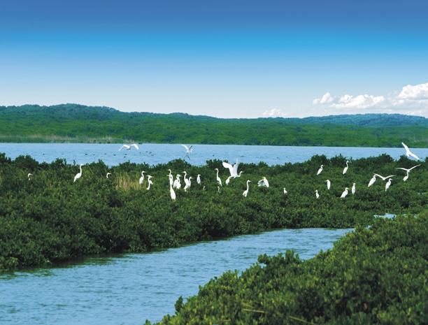 富力·紅樹灣綠色生態木屋獲美國LEED認證