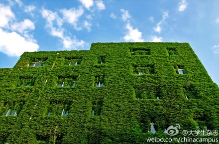 綠色建筑行業每日熱點微博精選（2013年09月29日）