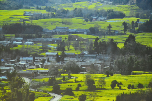 推行綠色元素_七位設計師談建設生態(tài)新鄉(xiāng)村