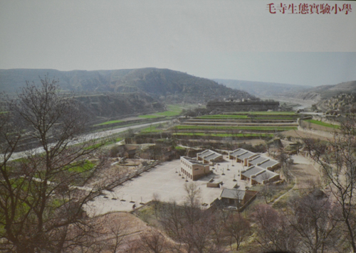 推行綠色元素_七位設計師談建設生態新鄉村