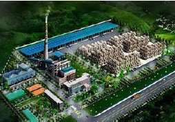 生物質能/潮汐能 生物質能/潮汐能