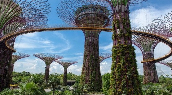 綠色建筑：新加坡濱海灣花園中的超級大樹