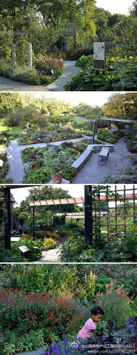 點擊查看原圖大小 點擊查看原圖大小