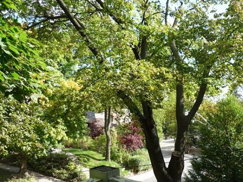 當下時髦5大綠色建筑設計靈感來自百年前