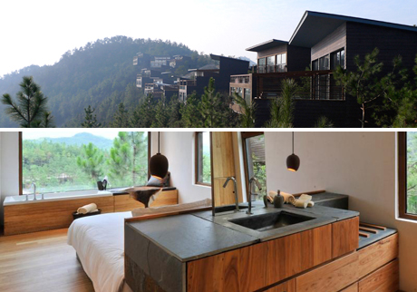 設計師如何使用綠色建材