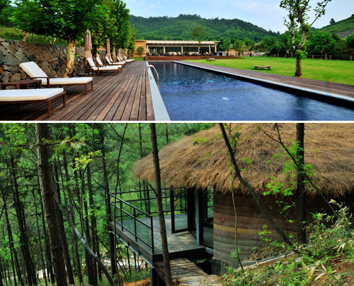 設計師如何使用綠色建材