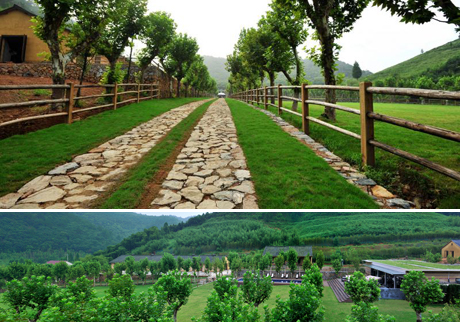 設計師如何使用綠色建材