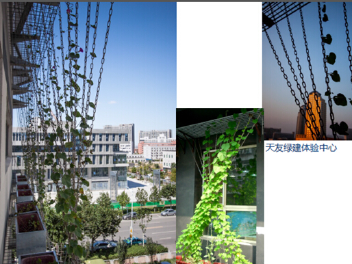 【綠建講堂】天友對(duì)綠建與綠星的推廣思考（10月30日綠建之窗微信群第二期講座）