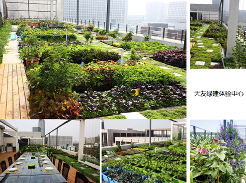 【綠建講堂】天友對(duì)綠建與綠星的推廣思考（10月30日綠建之窗微信群第二期講座）