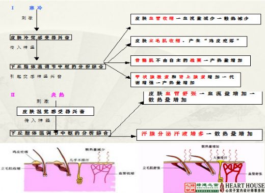 【綠建講堂】生態節能、健康舒適——室內設計的新起點（11月25日綠建之窗微信群第9期講座）