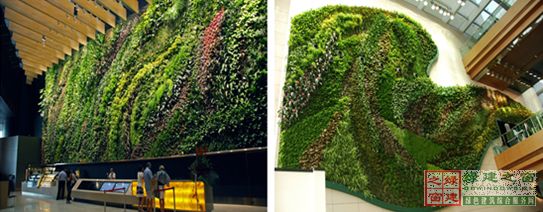 【綠建講堂】借鑒國內外先進經驗向霧霾宣戰——城市立體綠化治理PM2.5（12月25日綠建之窗微信群第十八期講座）