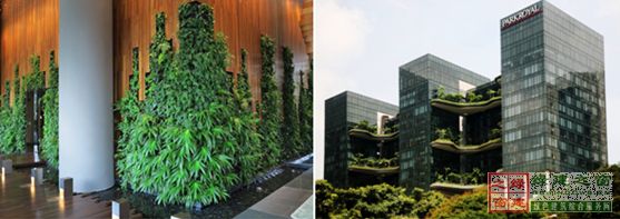 【綠建講堂】借鑒國內外先進經驗向霧霾宣戰——城市立體綠化治理PM2.5（12月25日綠建之窗微信群第十八期講座）