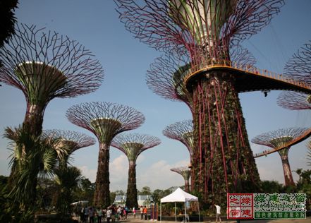 【綠建講堂】借鑒國內外先進經驗向霧霾宣戰——城市立體綠化治理PM2.5（12月25日綠建之窗微信群第十八期講座）