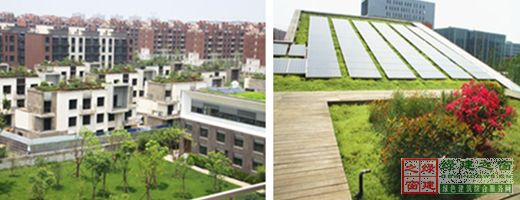 【綠建講堂】借鑒國內外先進經驗向霧霾宣戰——城市立體綠化治理PM2.5（12月25日綠建之窗微信群第十八期講座）