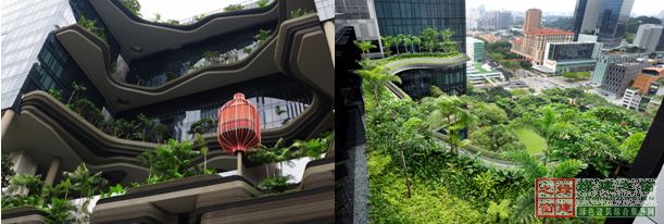 【綠建講堂】借鑒國內外先進經驗向霧霾宣戰——城市立體綠化治理PM2.5（12月25日綠建之窗微信群第十八期講座）