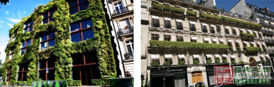 【綠建講堂】借鑒國內外先進經驗向霧霾宣戰——城市立體綠化治理PM2.5（12月25日綠建之窗微信群第十八期講座）