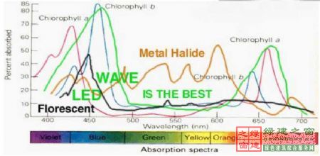 【綠建講堂】綠色照明——LED的應用（綠建之窗微信群2015年第四期講座，總第23期）