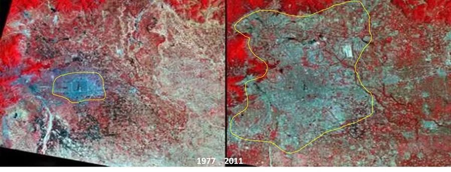 李旭東：綠色建筑發展新趨勢