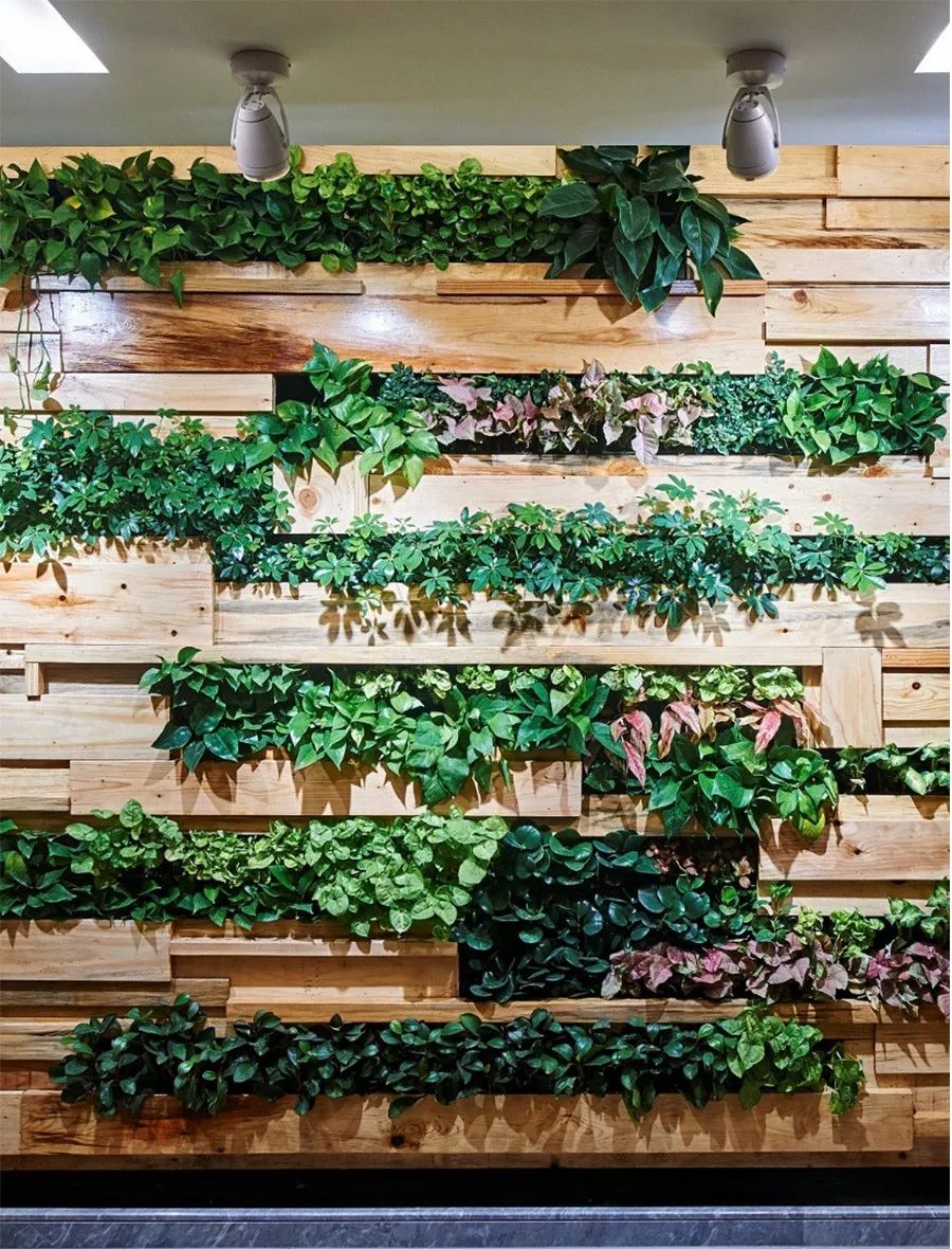 李旭東：綠色建筑發展新趨勢