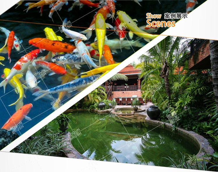 還在為選擇魚池毛刷的顏色而發愁？傲群毛刷廠家為您解答