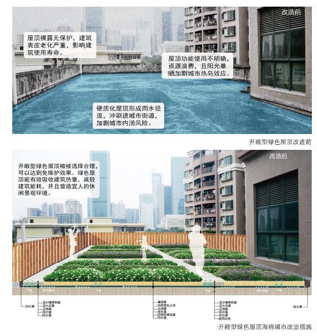 海綿城市建設：屋頂綠化解決方案