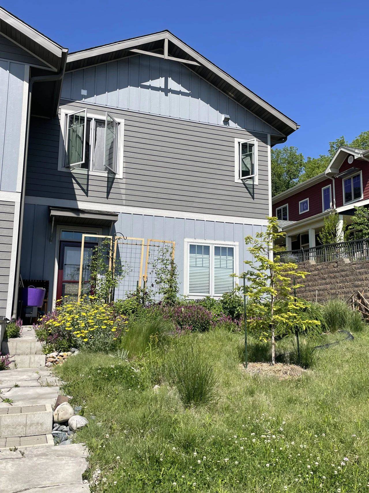 榜上有名的健康好房，2024年_LEED_住宅大獲獎項目展示