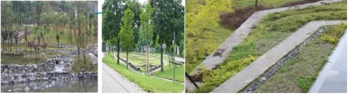 8.1.4設計利于雨水的收集或排放