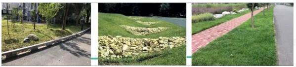 8.1.4設計利于雨水的收集或排放